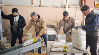Bitlis tohumluk kuru fasulye üretiminde Türkiye genelinde zirveye yerleşti