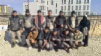 Şanlıurfa kırsalında jandarma operasyonuyla 68 düzensiz göçmen yakalandı
