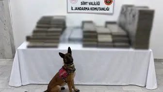 Siirt jandarmasından kömür çuvalları arasına gizlenmiş kaçak sigara operasyonu