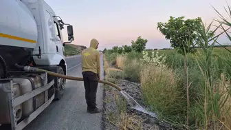 Batman yollarını meyve bahçesine dönüştüren Yeşil Kuşak projesi büyüyor