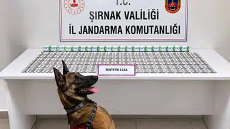 Şırnak jandarmasından geniş çaplı operasyon: 12 kişi cezaevine gönderildi