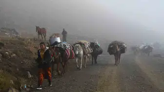 Şırnaklı göçerler soğuk havaların gelmesiyle yaylalardan dönüş yoluna koyuldu
