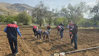 Tunceli'de tarım ekipleri 70 yaşındaki üreticinin sarımsak tarlasına koştu