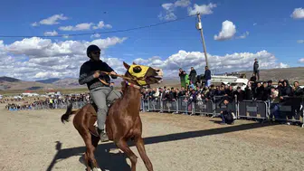 Bingöl’de geleneksel at yarışları renkli görüntülere sahne oldu