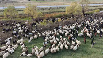 Göçerlerin Van’dan Siirt’e zorlu dönüş yolculuğu başladı