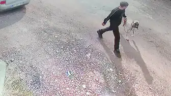 Siverek'te Kangal cinsi köpeğin çalınma anı güvenlik kamerasına yansıdı