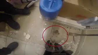 Diyarbakırda demir profile sıkışan yavru kedi itfaiye ekiplerince kurtarıldı