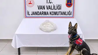 Gevaş yolunda otobüs yolcusunun çantasından uyuşturucu çıktı