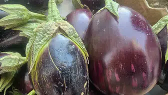 Elazığlıların kış sofralarında tombul patlıcan bereketi