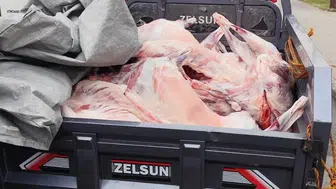 Batman'da kaçak et operasyonu düzenlendi