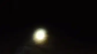 Elazığ Baskil'de sağanak yağış sele dönüştü