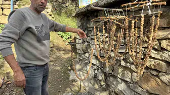Diyarbakır Çermik'te geleneksel bağ bozumu mesaisi başladı