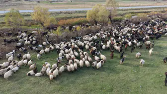 Van ve Bitlis yaylalarından göçerlerin zorlu dönüş yolculuğu başladı