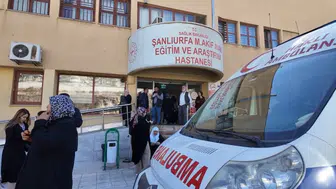 Şanlıurfa'da okulda yaprak sarması yiyen 12 öğrenci hastanelik oldu