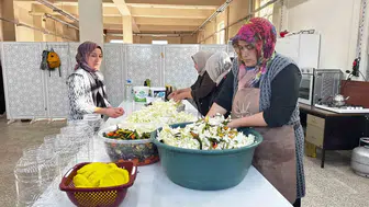 Ağrı’da ata tohumuyla yetişen lahanalar turşuya dönüşüyor