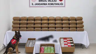 Bingöl'de aranan 4 hükümlü yakalandı ve çok sayıda suç unsuru ele geçirildi