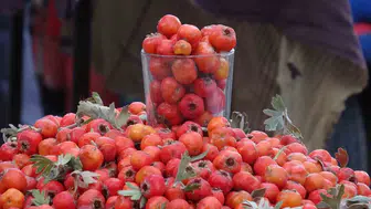 Van dağlarının doğal şifa kaynağı alıç tezgahlarda yerini aldı
