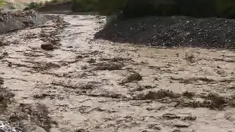 Elazığ'ın Palu ilçesinde şiddetli yağışlar sele dönüştü