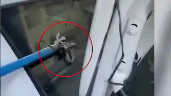 Çermik'te araç sahibini korkutan sürpriz: Bagajda yılan buldu