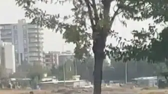 Siverek yolunda kontrolden çıkan otomobil ağaca çarparak ikiye bölündü
