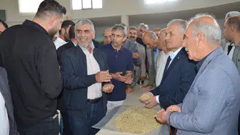 Mardin ovasında ilk arpa hasadı bereket getirdi