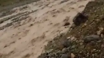 Elazığ’da aniden bastıran yağış sele dönüştü