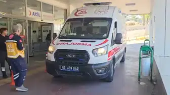 Siverek'te yılan avı felaketle bitti