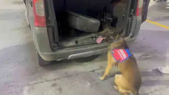 Tunceli yolunda uyuşturucu operasyonu Kaputun altına gizlenmiş esrar yakalandı