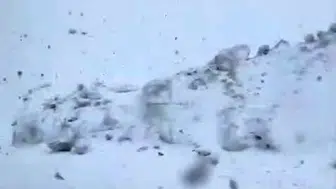 Hakkari’nin zirvelerinde bahar ayı karla kaplandı