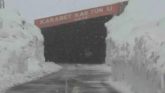 Van'da mevsim normallerine inat yüksek kesimlere kar yağdı