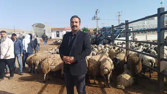 Şanlıurfa kurban pazarında fiyat savaşı başladı