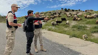 Batmanlı besicilere bayram öncesi hayvan hırsızlığına karşı önlem uyarısı