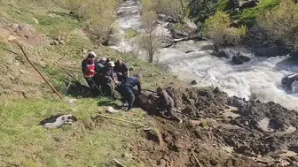Hakkari Otluca köyünde bataklığa saplanan ineği ekipler kurtardı