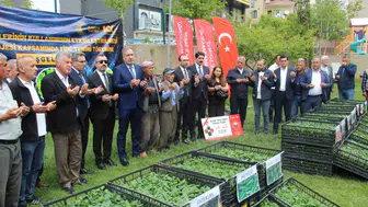 Şırnaklı çiftçiye 361 bin fideli tarım desteği