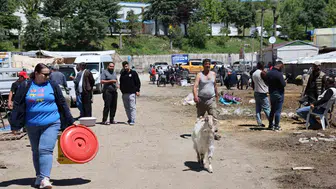Elazığ pazarında kurbanın son günü pazarlık maratonu yaşandı
