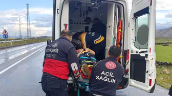 Çaldıran yolunda kamyonet şarampole uçtu