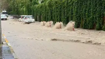 Elazığ’da aniden bastıran sağanak yolları göle çevirdi