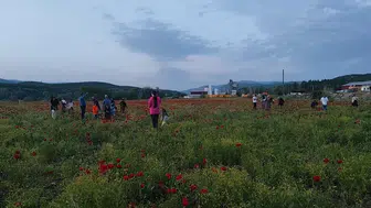 Bingöl yolundaki kırmızı manzara sürücüleri mola vermeye zorladı