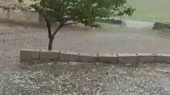 Siverek’te dolu felaketi tarlaları vurdu