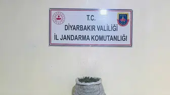 Diyarbakır jandarmasından uyuşturucuya büyük darbe