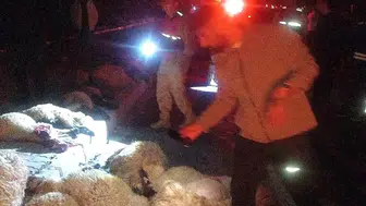 Van Gürpınar yolunda gece yarısı kaza 17 koyun telef oldu