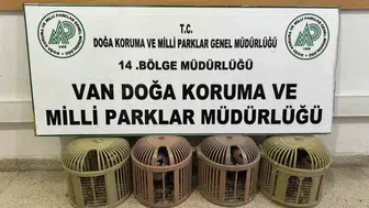 Van'da kaçak keklik avlayan sürücüye ağır fatura