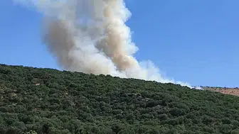 Silvan kırsalındaki ormanlık alanda çıkan yangın ekiplerin müdahalesiyle söndürüldü