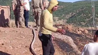 Siirt Baykan'da yangın paniği kontrol altına alındı