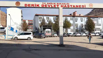 Mardin Derik’te akrabalar birbirine girdi