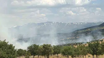 Bingöl Gökçeli'de orman yangını korkuttu