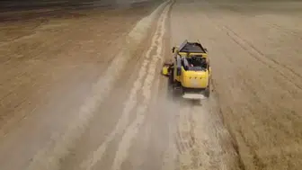 Siirt ovasında hasat zamanı Çiftçinin yüzü yağışlarla güldü