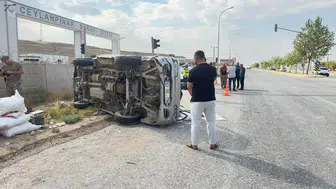 Ceylanpınar yolunda kamyonet devrildi