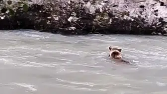 Munzur Nehri'nde zorlu geçiş anları kameraya yansıdı