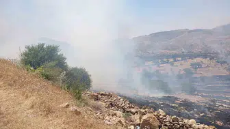 Mardin Yeşilli’de orman yangını başladı